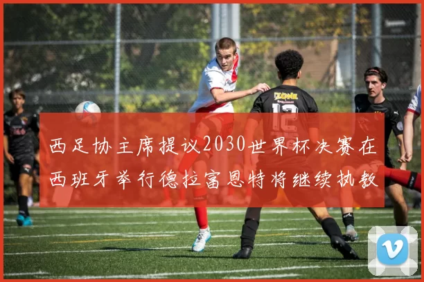 西足协主席提议2030世界杯决赛在西班牙举行德拉富恩特将继续执教国家队